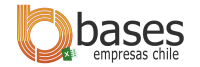 Bases de Datos de Empresas en Chile